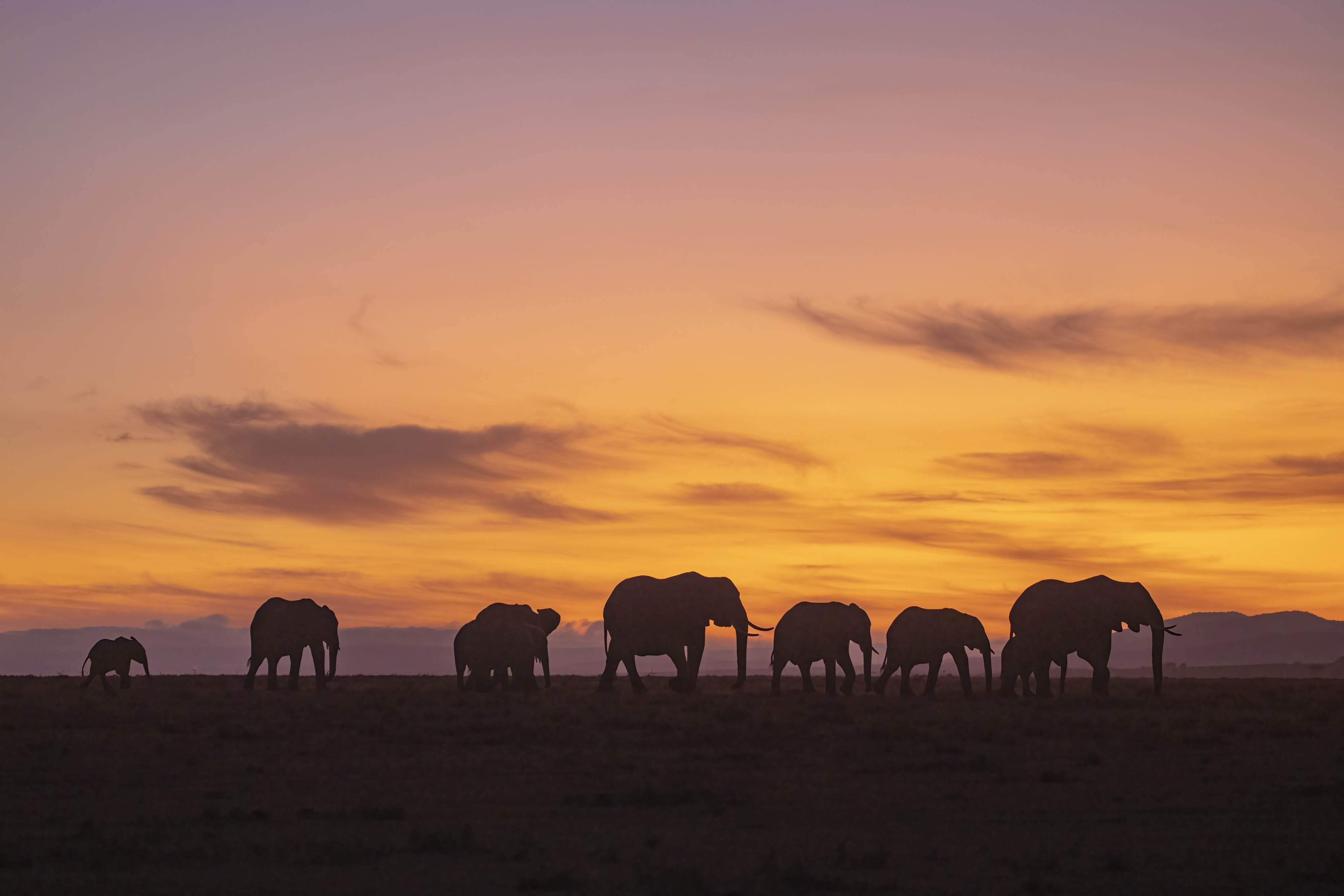 November 10, 2022-054651-Edit.jpg